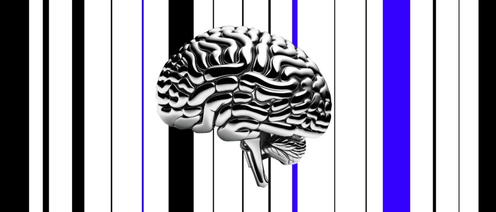 Brain empathy mirror neurones intelligence Desire line Ligne de désir UX/UI Parcours utilisateur Navigation Destin Destinée Nudge Nudging Ergonomie Engagement Gamification Design Digital Lovable product Soft Power Storytelling UX writing Freelance Expert